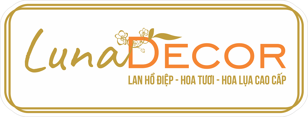 Luna Decor - Chuyên dịch vụ hoa tươi - hoa lụa cao cấp và Lan Hồ Điệp