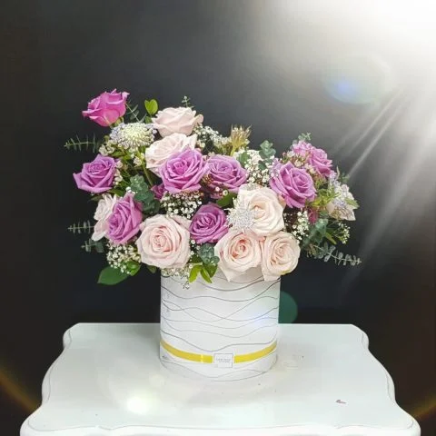 hoa hồng màu tím