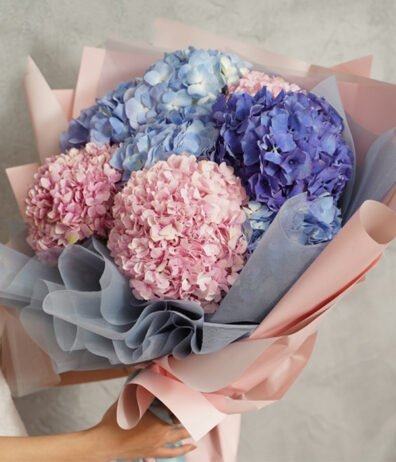 Bó hoa Cẩm Tú Cầu