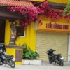 Cây hoa giấy giả
