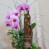 Bình hoa lan hồ điệp